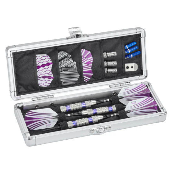 Casemaster Accolade Aluminum Dart Case